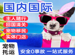 北京航空托运国际宠物托运 【国